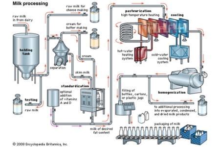 Virtual Milk Process 的图像结果