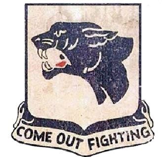 The 761st Tank Battalion: Fighting the Enemy, Beating Stereotypes ...
