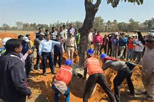Trees from Deucha Pachami coal block replaced successfully with the ...