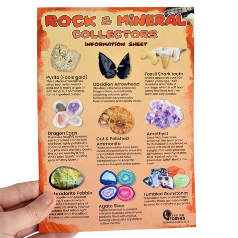 Riannon Bristow - Rock and Mineral Collectors information sheet