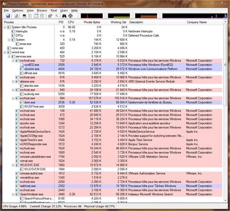 System Internal Process Explorer 的图像结果