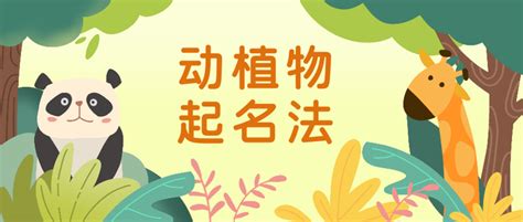 西安植物园2个玉兰新品种等您来起名--陕西省西安植物园 陕西省植物研究所