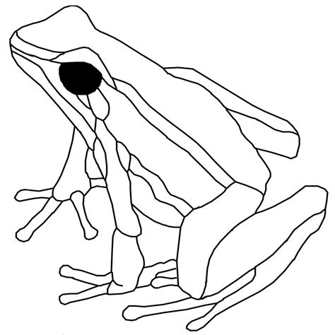 Image result for Pattern for Frog