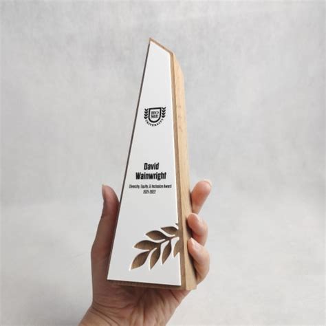 Buy Custom Recognition Award Modern Personalized Acrylic Trophy Online ...