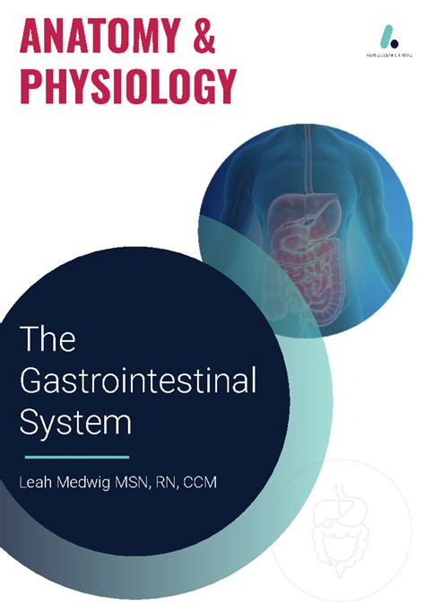 ANATOMY PHYSIOLOGY: The Gastrointestinal System Overview - Studocu