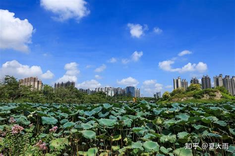 首都师范大学科德学院真实名声怎么样？ - 知乎