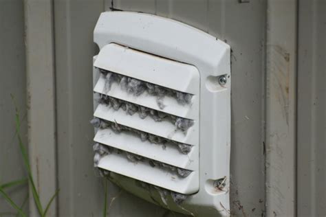 How to Clean your Dryer Vents | Frontdoor