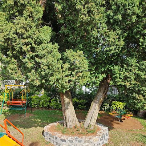 CLIFF VIEW RESORT, YERCAUD (Tamil Nadu) - Hotel Reviews, Photos, Rate ...