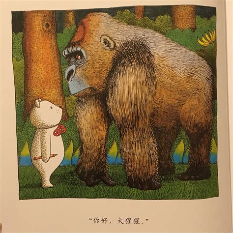 【绘本第5期】《小熊总有好办法》_亲子绘本阅读__台州19楼