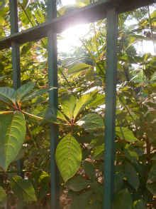 Best cameras for lowlight photography under 15k