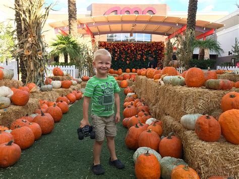 Best Fall Events in Phoenix With Kids - Phoenix With Kids