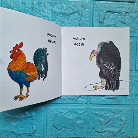 My First Book of Birds - English-Tamil - Level 1 - Pratham – We Are Turners