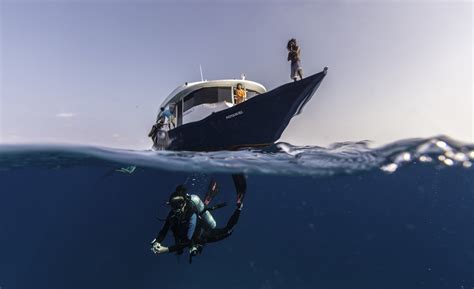 A Lens On The Ocean | Nature inFocus