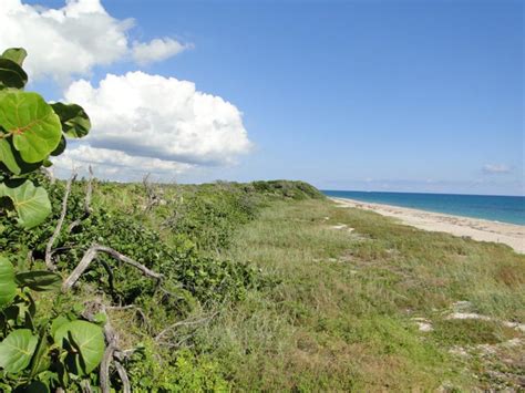 5 Great Florida State Parks with Beaches | VISIT FLORIDA
