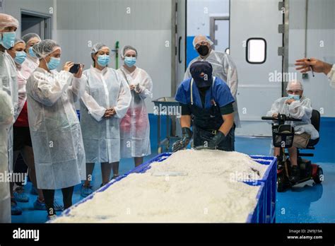 Image result for Fish processing Fish Canning Process