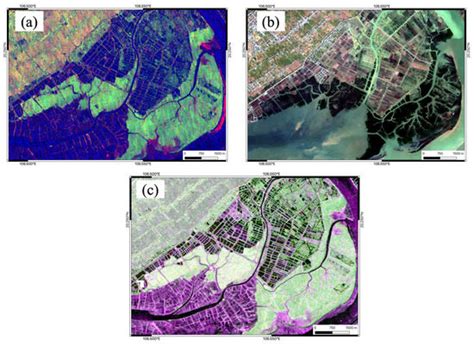 Probabilistic Mangrove Species Mapping with Multiple-Source Remote ...
