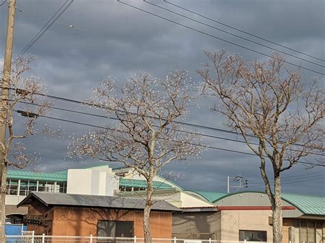 Season's Photos in Fukuoka, 2021 Early Winter Version