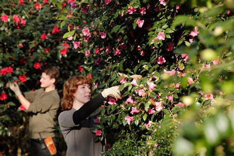 Careers with plants and why they matter to YOU - Futurum