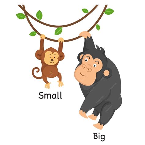 Opposite big and small vector illustration | Premium Vector