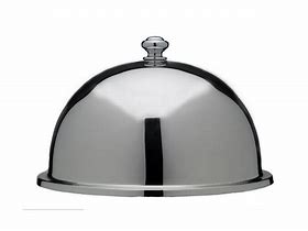 Image result for Rectangle Cloche Dome