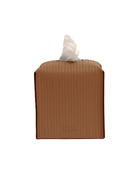 Camel Square Tissue Box – Maison SIA