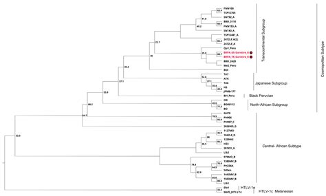 Intrafamilial Transmission of HTLV-1 and HTLV-2 in Indigenous Peoples ...