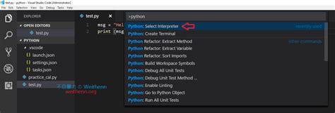 Python vs Code Tutorial 的图像结果