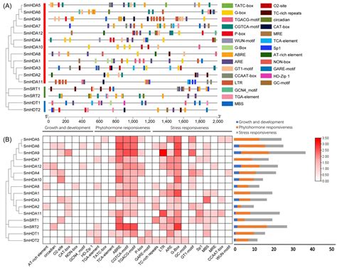 Genome-Wide Identification and Characterization of the Salvia ...