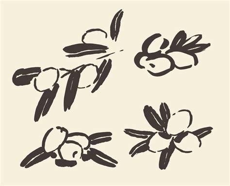Set of ink hand drawn olive tree branches, vector illustration ...
