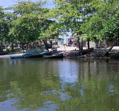 MIAMI GARIFUNA VILLAGE (2025) All You Need to Know BEFORE You Go (with ...