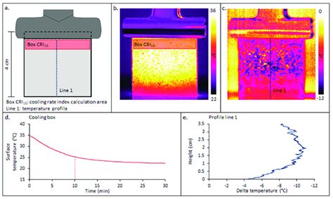 Image result for IRT Data Collection Practice Video