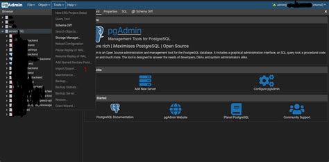 How to Export Using pgAdmin 的图像结果