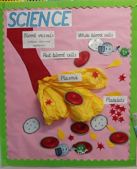 Science display | Science fair, Biology projects, Cells project