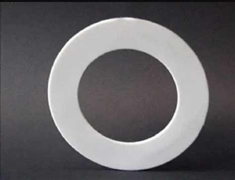 PTFE Seals - STP PTFE Seals Manufacturer from Ahmedabad