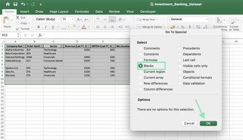 How to Find and Remove Blank Rows in Excel (Downloadable Template)
