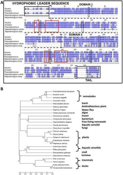 Bioinformatics Tools 的图像结果
