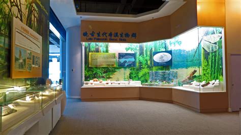 魔都最值得去的10个地方之一——上海自然博物馆 - 知乎