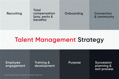 Talent Management 的图像结果