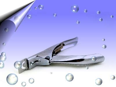 Kosmetik Schönheit Kleinanzeigen