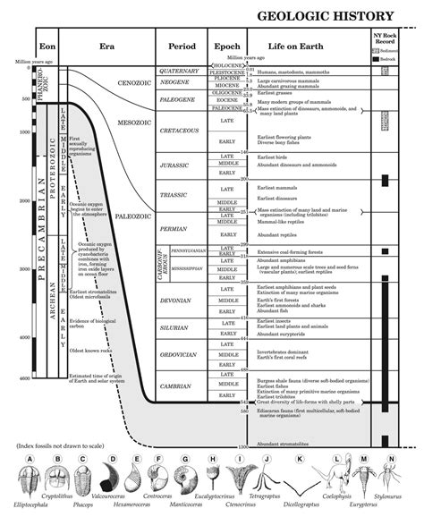 Individual Earth Science Reference Tables