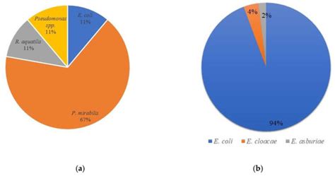 Serbian Traditional Goat Cheese: Physico-Chemical, Sensory, Hygienic ...