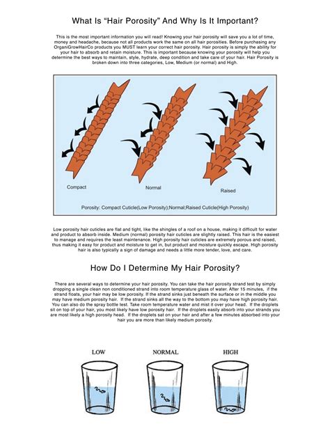 HAIR POROSITY TEST – OrganiGrowHairCo