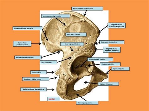 Image result for Sample Research Problem Statement Examples
