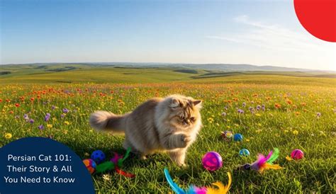 Persian Cat 101: Their Story & All You Need to Know | Zigly