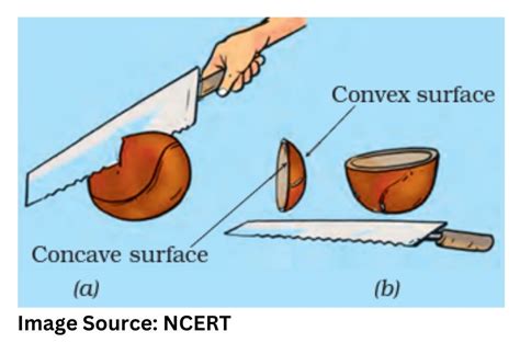 Difference Between Concave And Convex Mirror? Know About Concave vs ...