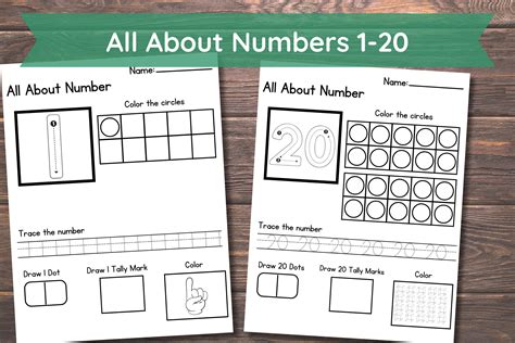 20 Printable All About the Numbers 1-20 Worksheets. - Etsy Australia