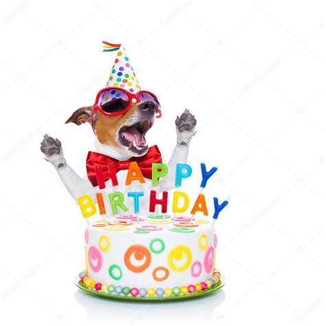 Happy Birthday Dog Images at Elsie Tucker blog