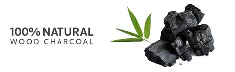 INDUS VALLEY 100% Natural Activated Charcoal Powder Ideal for Skin ...