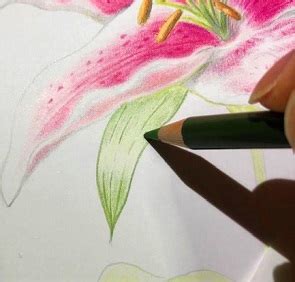 Image result for Computer Graphics Reflection Models