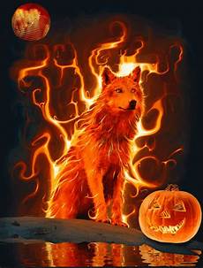Orange Wolf Wallpaper by Orange Wolf Gifs Wolves And Orange Wolf Wallpaper